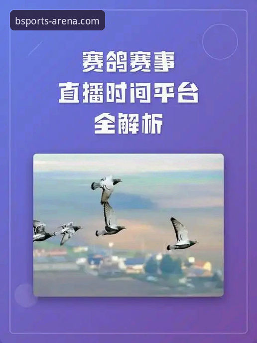 BSports电竞直播教程 必威体育平台最新动态:BSports电竞直播教程全解析,老用户带你解锁观赛新姿势